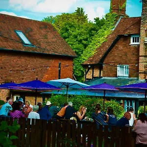 The Dolphin Bed & Breakfast